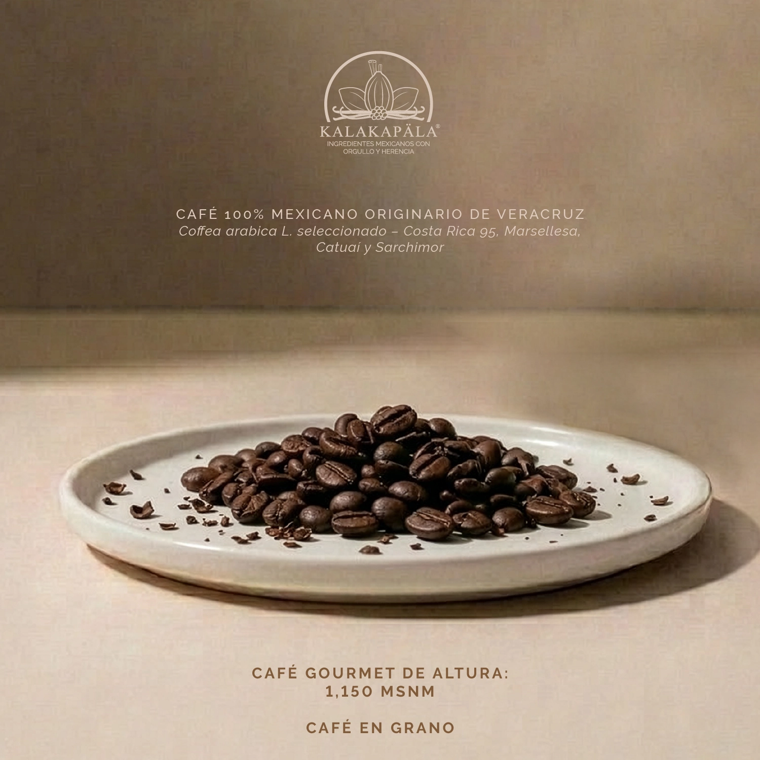 Sachet Café Mezcla de tueste miniatura 3
